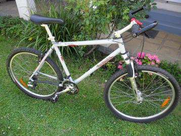 VTT Homme beschikbaar voor biedingen