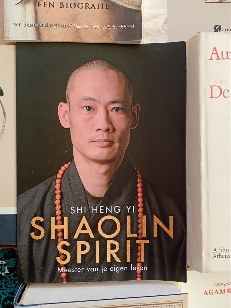 Shi Heng Yi, Shaolin Spirit. Meester van je eigen leven, Enlèvement