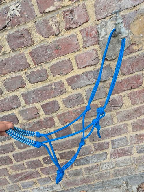 Halsters en dekjes, Dieren en Toebehoren, Paarden en Pony's | Hoofdstellen en Tuigage, Zo goed als nieuw, Dressuur, Ophalen of Verzenden