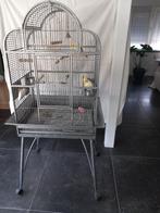 2 valkparkieten met grote  kooi, Dieren en Toebehoren, Ophalen, Aluminium, Vogelkooi
