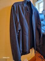 Veste Lacoste 56- en parfait état., Vêtements | Hommes, Enlèvement ou Envoi, Comme neuf, Gris