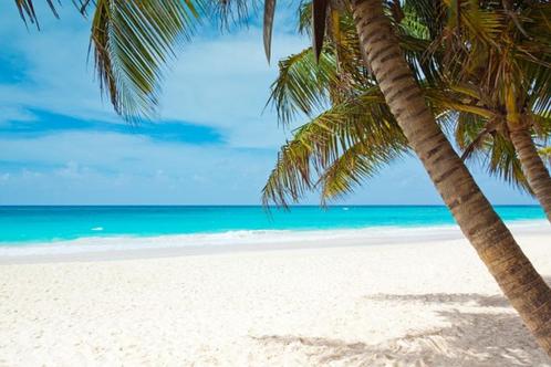 Caribische massages voor mannen, Diensten en Vakmensen, Welzijn | Masseurs en Massagesalons, Ontspanningsmassage