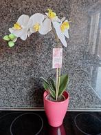 Orchidee voor moederdag, Huis en Inrichting, Woonaccessoires | Kunstplanten en Kunstbloemen, Zo goed als nieuw, Ophalen