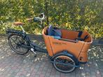 Babboe Curve-E elektrische bakfiets (4zitjes) + regenkap, Ophalen, Zo goed als nieuw