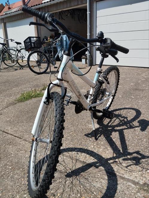 Drie mountainbikes in perfecte staat, Fietsen en Brommers, Fietsen | Mountainbikes en ATB, Zo goed als nieuw, Ophalen