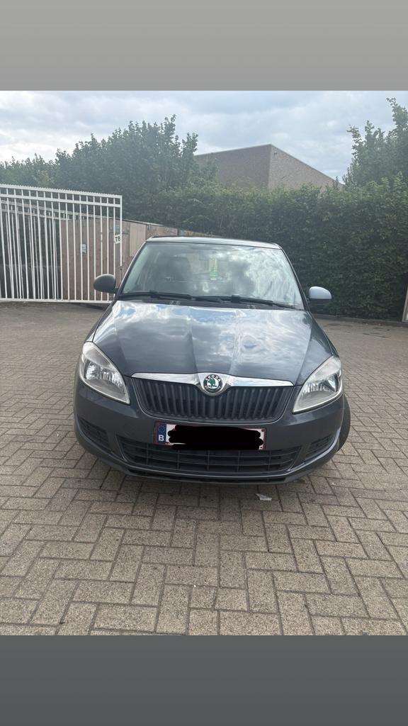 Skoda fabia, Auto's, Skoda, Particulier, Fabia, Benzine, Euro 5, Ophalen
