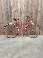 Velo vintage fixie ULTRA LEGER Colgano Campagnolo, Enlèvement