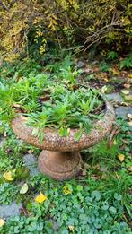 Vasque ancienne de jardin, Jardin & Terrasse, Plantes | Jardin, Enlèvement