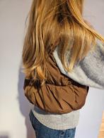 bodywarmer dames/meisjes, Divided, Bruin, Ophalen of Verzenden, Zo goed als nieuw