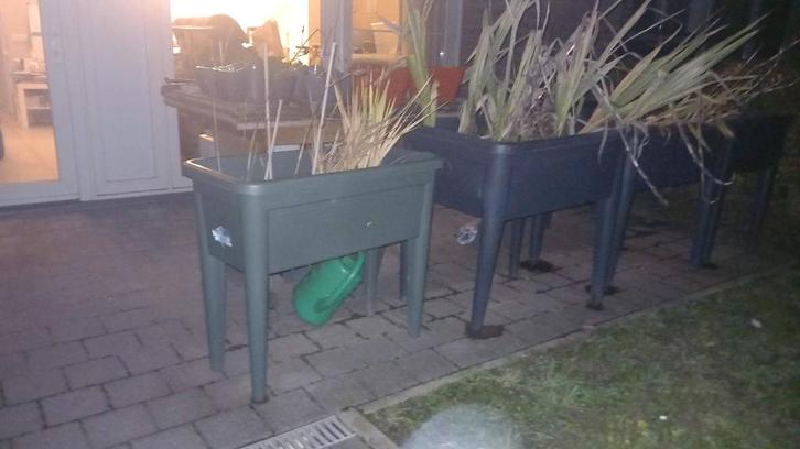 Bloembakken met bollen, Tuin en Terras, Bloempotten, Gebruikt, Kunststof, Balkon, Tuin, 70 cm of meer, 40 cm of meer, Rechthoekig