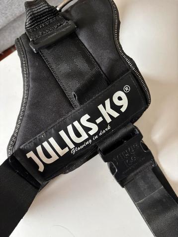 Julius k9 maat 3 beschikbaar voor biedingen