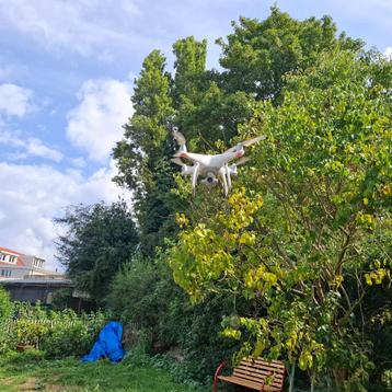DJI PHANTOM 4, Enlèvement ou Envoi, Utilisé, Drone avec caméra