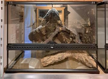 Exo Terra Terrarium 60x45x45 beschikbaar voor biedingen