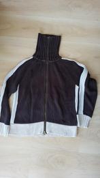 vest L, Ophalen of Verzenden, Zo goed als nieuw, Maat 42/44 (L), Bruin