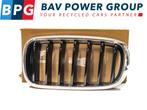 GRILLE LINKS ROOSTER NIEREN BMW X6 (F16) (01-2014/12-2019), Gebruikt, BMW