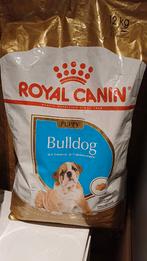 Croquette chiot, Enlèvement, Chien