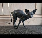 2 bronze sphynx beelden, Enlèvement