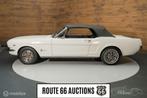 Ford Mustang 1966 | Route 66 auctions, Autos, Achat, Entreprise, Cabriolet, Toit ouvrant