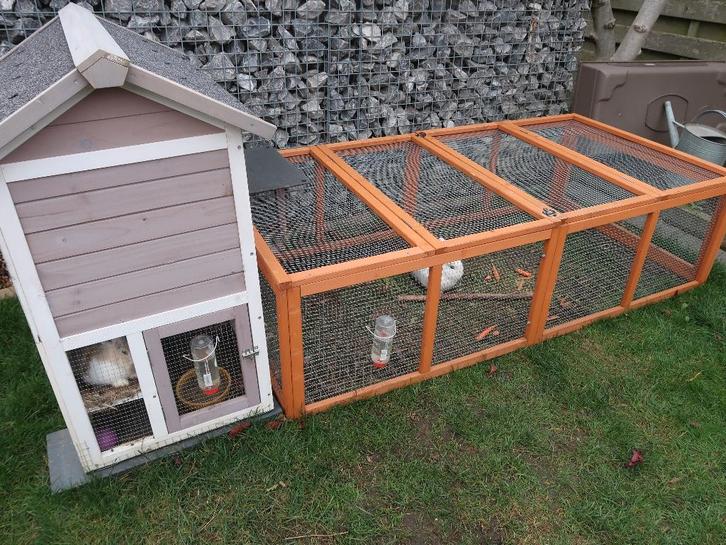 gratis konijnen en toebehoren, Dieren en Toebehoren, Knaagdieren en Konijnen | Toebehoren, Ophalen