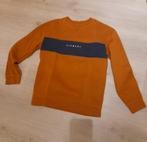 truien jongens / meisjes 14 - 16 jaar, Ophalen of Verzenden, Zo goed als nieuw, Trui of Vest