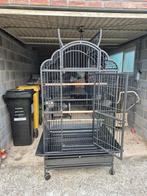 Cage perroquets, Animaux & Accessoires, Enlèvement