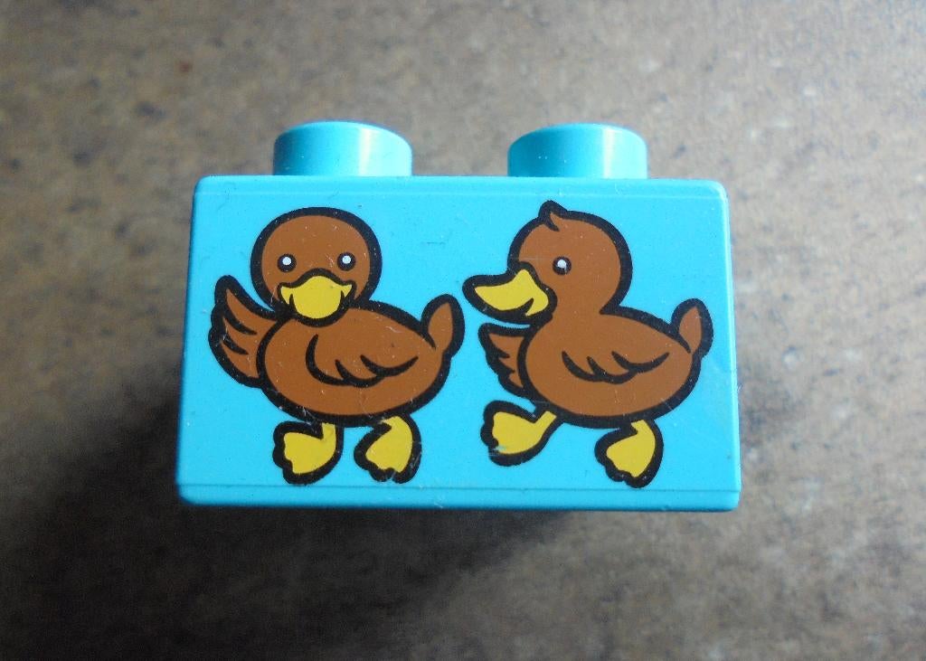 Lego Duplo Brick 2x2 (zie foto's), Ophalen of Verzenden, Gebruikt, Losse stenen, Duplo