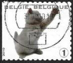 1 Postzegel Kitten België 2010 Uit het nest, Ophalen of Verzenden, Gestempeld, 1e dag stempel, Gestempeld