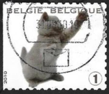 1 Postzegel Kitten België 2010 Uit het nest beschikbaar voor biedingen