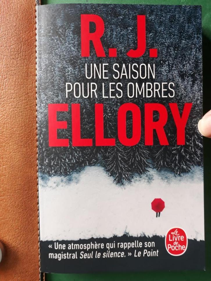 Une saison pour les ombres - R.J. Ellory, Livres, Thrillers, Comme neuf, Envoi
