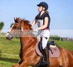 D sportpony, Dieren en Toebehoren, Pony's, Ruin, D pony (1.37m tot 1.48m), 11 jaar of ouder