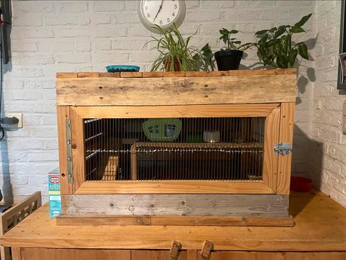 cage à hamster faite maison, Animaux & Accessoires, Rongeurs & Lapins | Cages & Clapiers, Cage, Hamster, Enlèvement