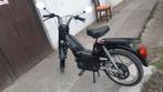 Peugeot vogue, Ophalen, Gebruikt, Overige modellen, Klasse B (45 km/u)