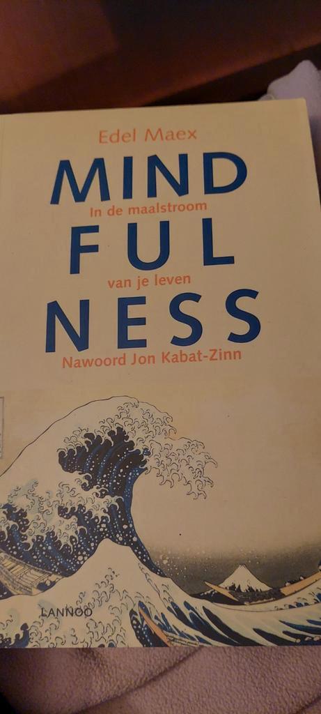 Edel Maex - Mindfulness, Boeken, Esoterie en Spiritualiteit, Ophalen of Verzenden