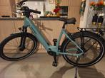 e-bike Thompson nieuw, 51 à 55 cm, Enlèvement, Neuf, 50 km par batterie ou plus