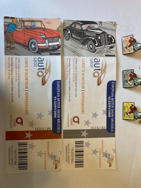 Kuifje / TinTin, Enlèvement, Tintin