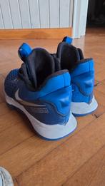 Basket schoenen nike lebron, Sport en Fitness, Basketbal, Ophalen, Schoenen