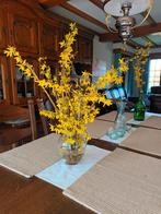 Forsythia of Chinees klokje, Tuin en Terras, Ophalen