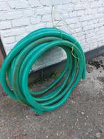 Intestin, Enlèvement