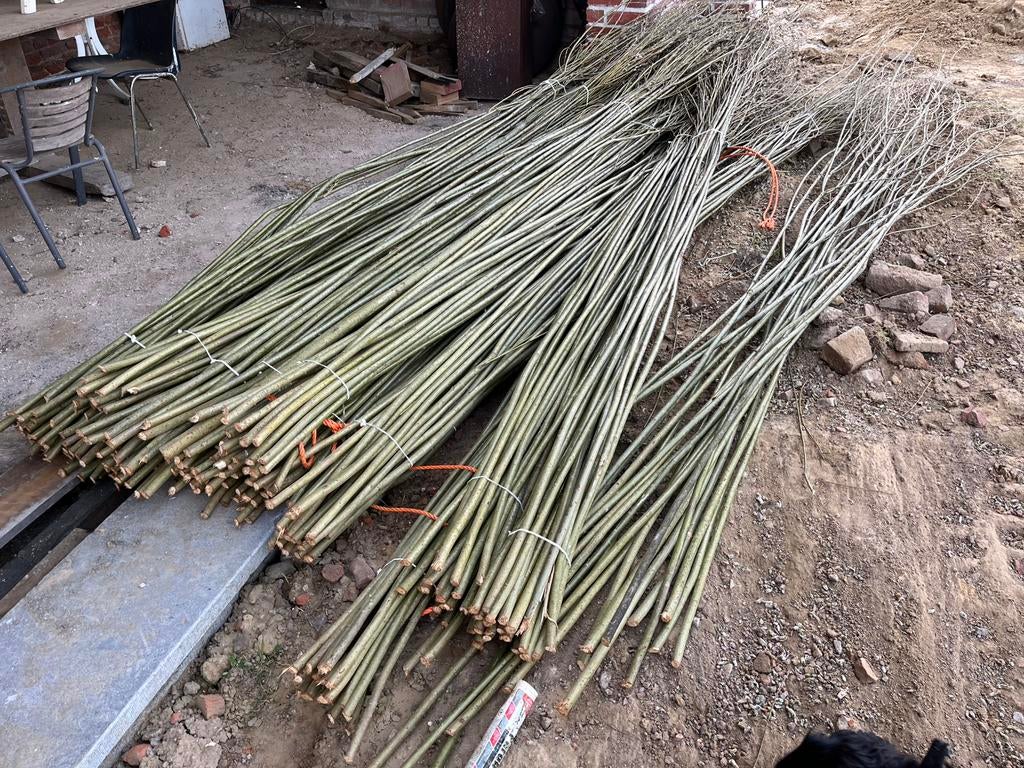 Wilgentakken, Ophalen