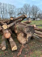 Brandhout te koop, Tuin en Terras, Brandhout, 6 m³ of meer, Ophalen, Stammen