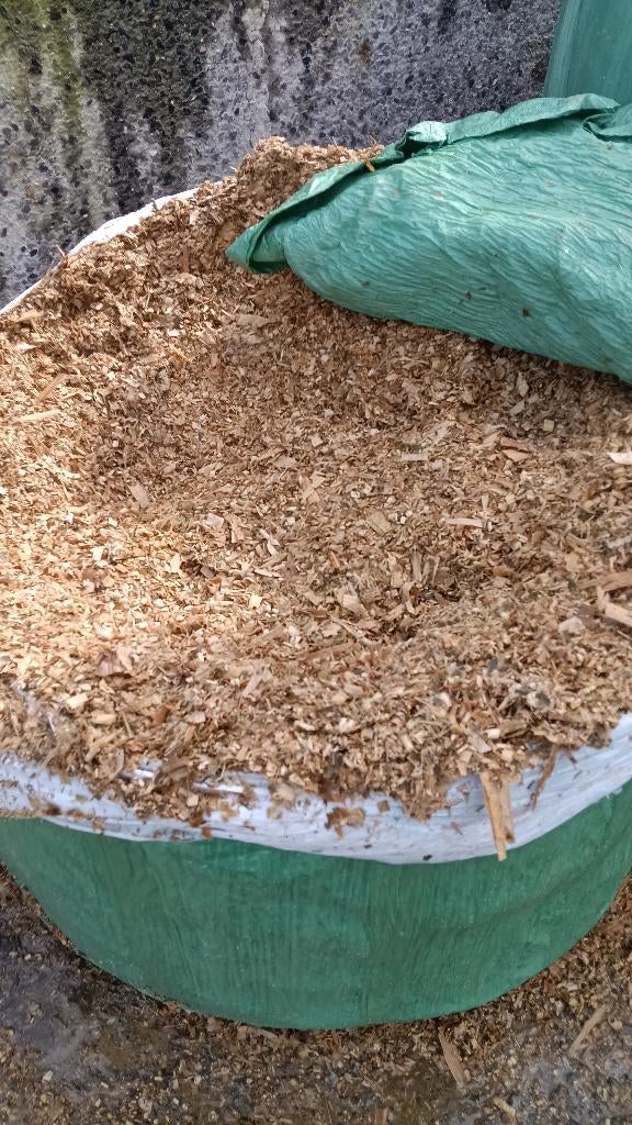 Maïs, Articles professionnels, Agriculture | Aliments pour bétail, Enlèvement