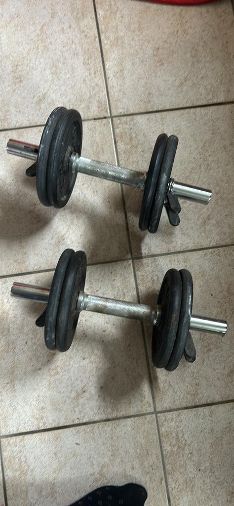 Halters 10 kg, Ophalen, Zo goed als nieuw