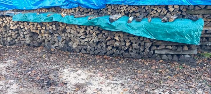 Bois de chauffage, Jardin & Terrasse, Bois de chauffage, Bûches, Hêtre, 6 m³ ou plus, Enlèvement