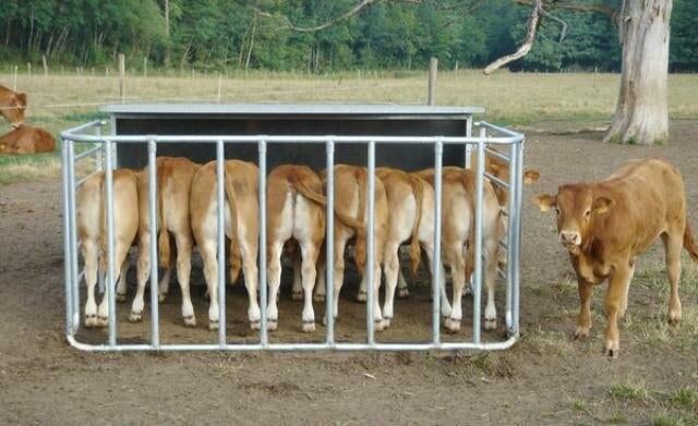 Berceau de pâturage, Animaux & Accessoires, Box & Pâturages