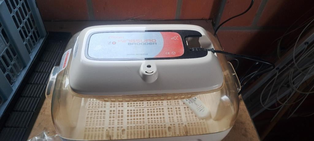 Uitkomstkast rcom kimgsuro brooder