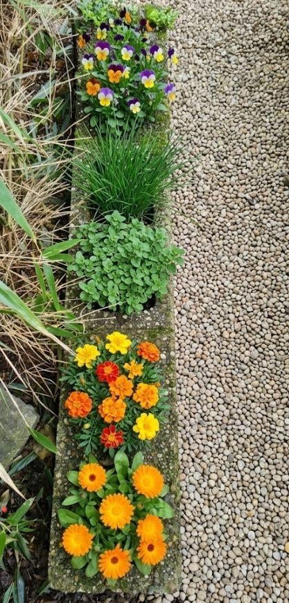 Boordstenen in verschillende formaten - 4 stuks, Moins de 25 cm, Bordure, Enlèvement, Utilisé