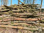 beaucoup de beau bois de chauffage, 3 à 6 m³, Enlèvement, Bûches