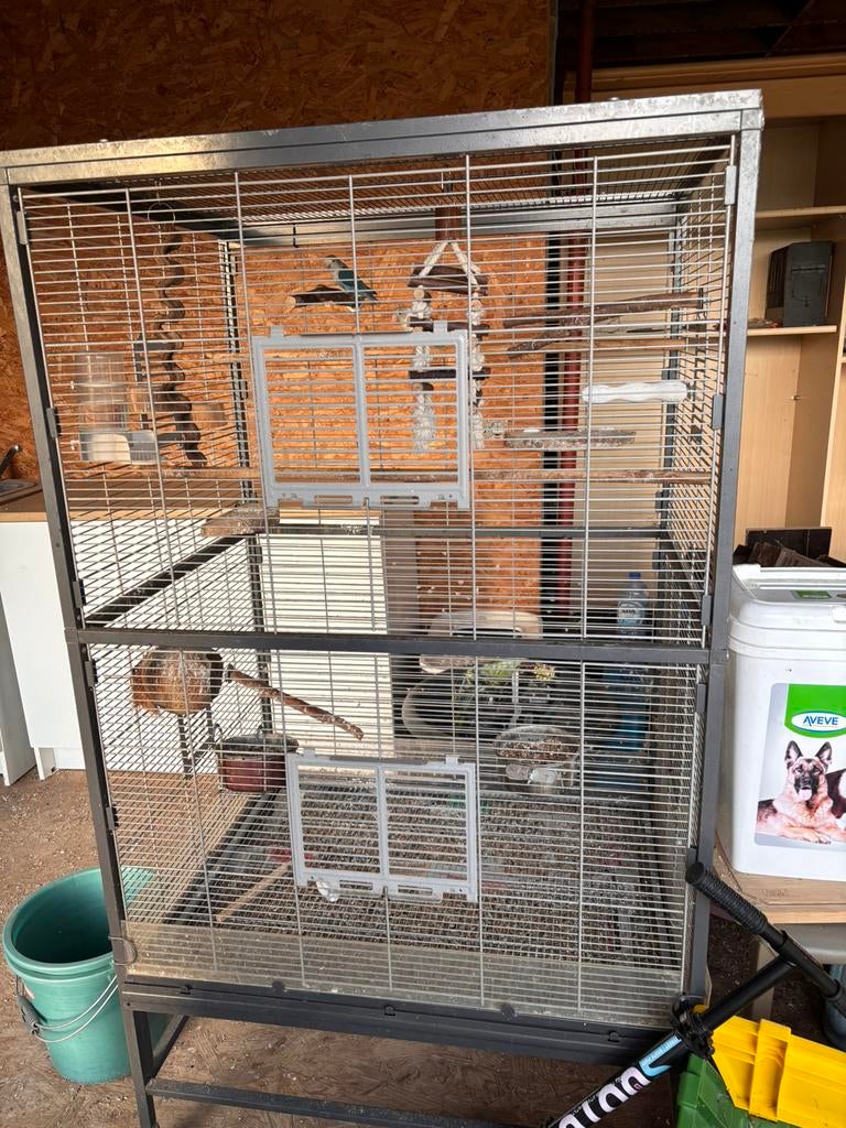 Koppel fisheri met kooi, Ophalen, Gebruikt, Vogelkooi