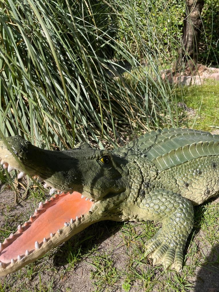 Image de crocodile, jardin, piscine, étang, ferme 100 cm, Enlèvement, Neuf, Synthétique, Animal