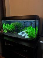 Aquarium Juwel Rio 125L, Dieren en Toebehoren, Ophalen, Zo goed als nieuw